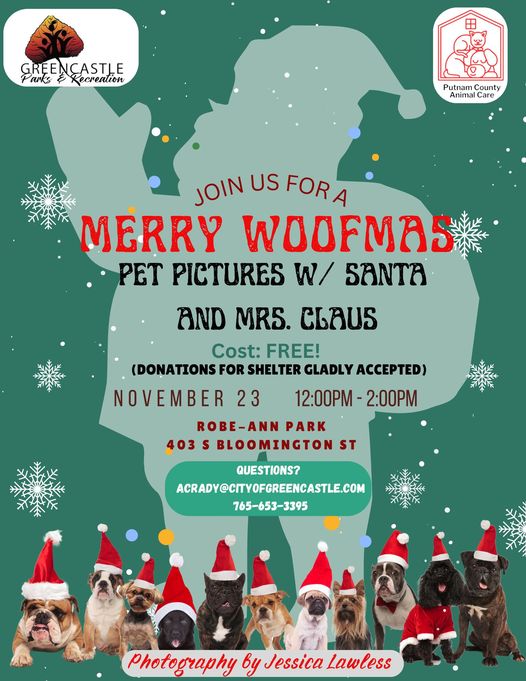 picture of dogs with santa hats on